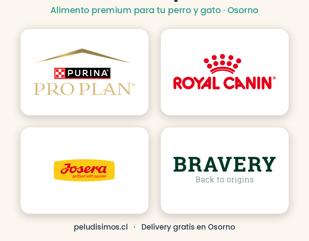 Las mejores marcas de alimento premium para perros y gatos disponibles en Osorno